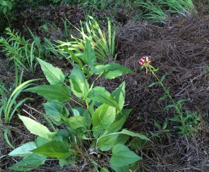 how I spent my hour off