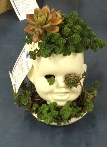 McCracken County Fair Head  2014